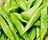 Beans (Runner)